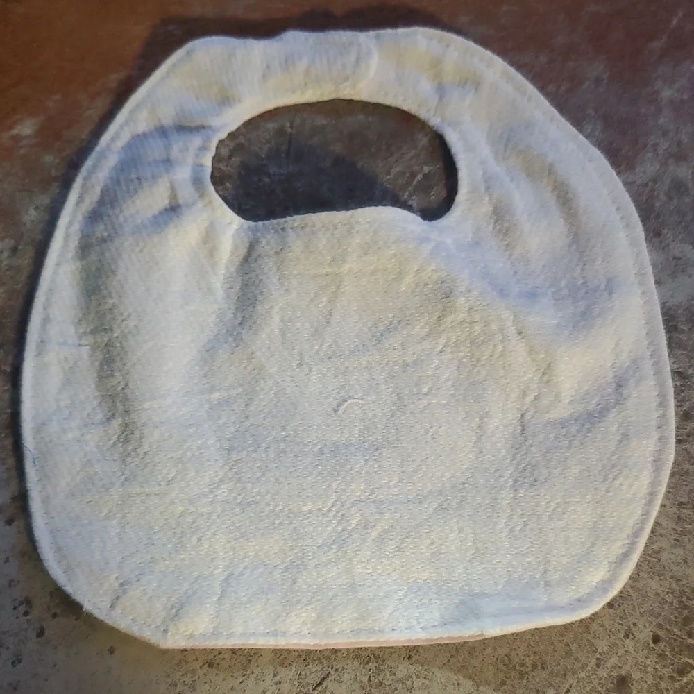 Charming Blue Bird Baby Bib